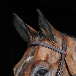 Ready To Ride Flash Bridle -Equestrian Supplies Store kee74e8e055e80e1ce836ba7609b240dc