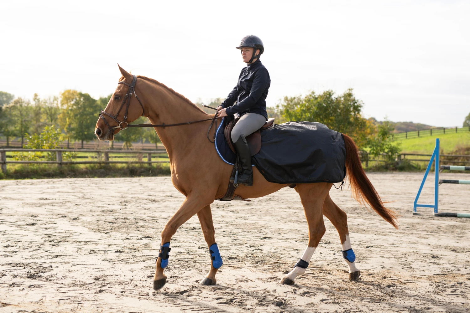 Horse And Pony Riding Exercise Rug Allweather 2 Horse And Pony Riding Exercise Rug Allweather - Image 2