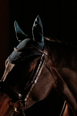 Horse Ear Net 16 Horse Ear Net -Equestrian Supplies Store kf0669b3bfca7138b172dbdf3131d5306 scaled