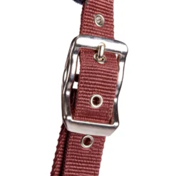 Winner Horse Riding Halter For Horse And Pony 8 Winner Horse Riding Halter For Horse And Pony -Equestrian Supplies Store kf77a6c85e2bfcdea5ce9256a46b10cab