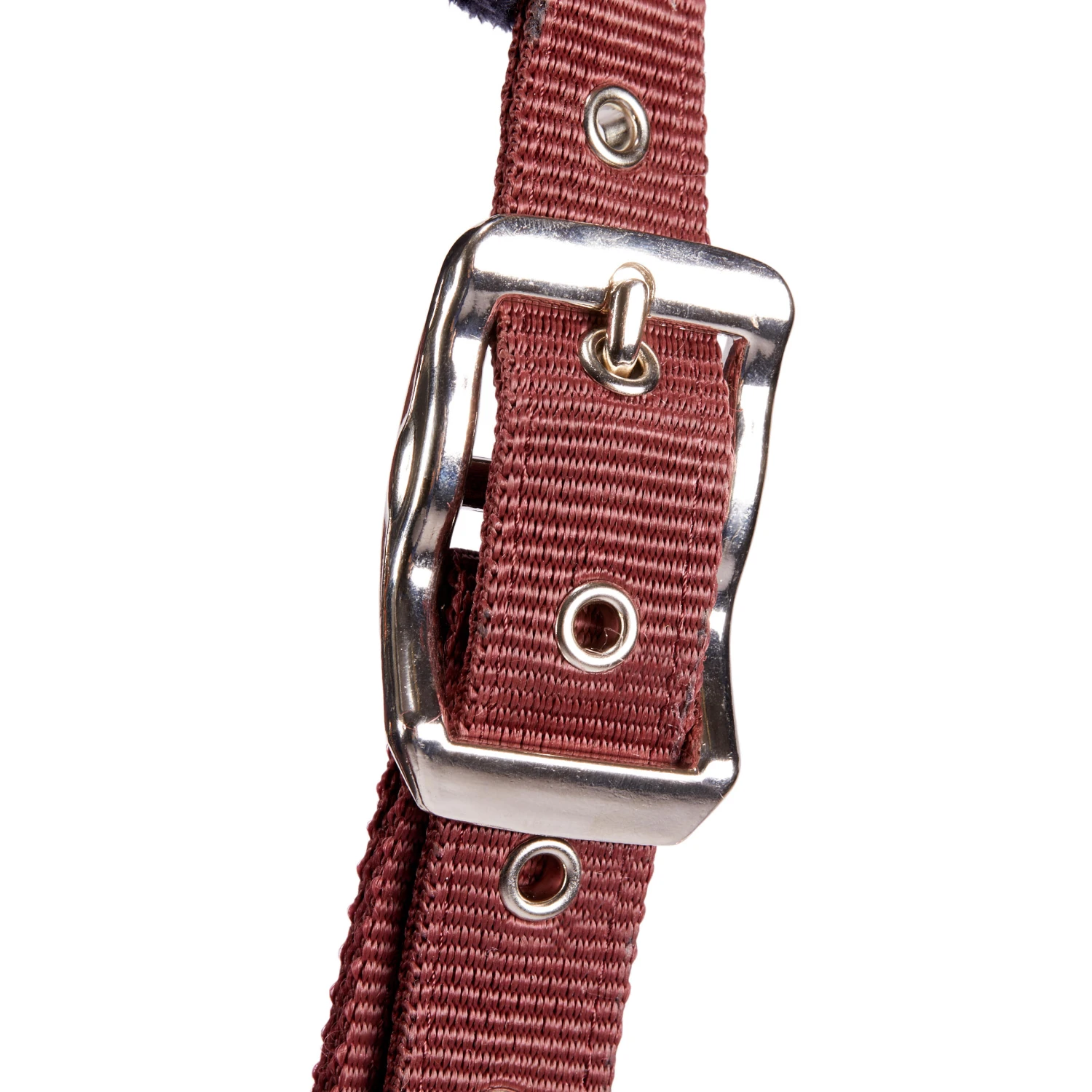 Winner Horse Riding Halter For Horse And Pony 3 Winner Horse Riding Halter For Horse And Pony - Image 3