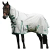Weatherbeeta GreenTec Plus Combo Neck Lightweight Horse Turnout Rug (Light Grey/Bottle Green)