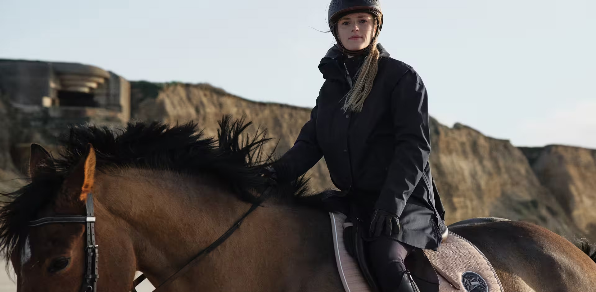 Equestrian Supplies Store 3 Equestrian Supplies Store -Equestrian Supplies Store 2